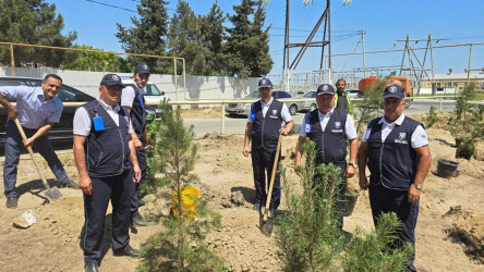 “Yaşıl dünya naminə həmrəylik ili” çərçivəsində Suraxanı rayonunda növbəti ağacəkmə aksiyası keçirilib