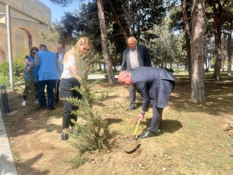 “Yaşıl dünya naminə həmrəylik ili” elan edilməsi ilə əlaqədar təsdiq olunmuş Tədbirlər Planına uyğun olaraq Suraxanı rayon Heydər Əliyev parkında ağac və gül kolları əkilib