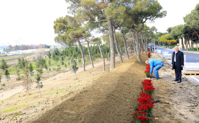 Suraxanı rayonunda aparılan yenidənqurma və abadlıq işləri çərçivəsində həyata keçirilən tədbirlər davam etdirilir