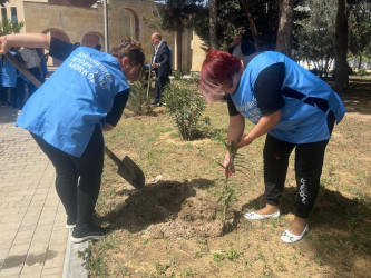 “Yaşıl dünya naminə həmrəylik ili” elan edilməsi ilə əlaqədar təsdiq olunmuş Tədbirlər Planına uyğun olaraq Suraxanı rayon Heydər Əliyev parkında ağac və gül kolları əkilib