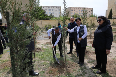 Suraxanıda Ulu Öndər Heydər Əliyevin əziz xatirəsinə ağacəkmə aksiyası təşkil olunub