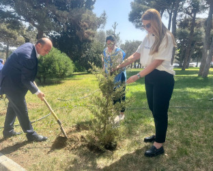 “Yaşıl dünya naminə həmrəylik ili” elan edilməsi ilə əlaqədar təsdiq olunmuş Tədbirlər Planına uyğun olaraq Suraxanı rayon Heydər Əliyev parkında ağac və gül kolları əkilib