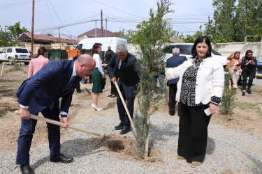 Suraxanıda Ulu Öndər Heydər Əliyevin əziz xatirəsinə ağacəkmə aksiyası təşkil olunub