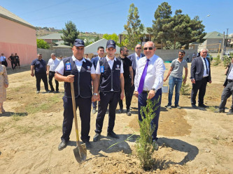 “Yaşıl dünya naminə həmrəylik ili” çərçivəsində Suraxanı rayonunda növbəti ağacəkmə aksiyası keçirilib