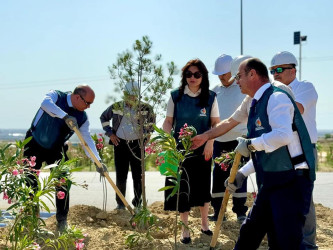 İyunun 25-də "26 İyun - Silahlı Qüvvələr günü"  münasibətilə "Yaşıl Dünya Naminə Həmrəylik ili" çərçivəsində Suraxanı Rayon İcra Hakimiyyətinin və Suraxanı Oyl şirkətinin birgə təşkilatçılığı ilə Əmircan - Yeni Suraxanı yolunda ağacəkmə aksiyası keçirilib.