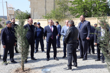 “Konstitusiya və Suverenlik İli” çərçivəsində Suraxanı rayonunda Rayon İcra Hakimiyyətinin təşkilatçılığı ilə növbəti ağacəkmə aksiyası keçirildi