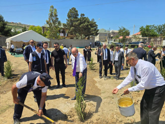 “Yaşıl dünya naminə həmrəylik ili” çərçivəsində Suraxanı rayonunda növbəti ağacəkmə aksiyası keçirilib