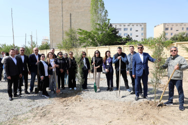 “Konstitusiya və Suverenlik İli” çərçivəsində Suraxanı rayonunda Rayon İcra Hakimiyyətinin təşkilatçılığı ilə növbəti ağacəkmə aksiyası keçirildi