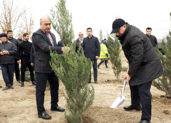 Azərbaycan Respublikasının Prezidenti cənab İlham Əliyevin müvafiq sərəncamına əsasən 2024-cü ilin “Yaşıl dünya naminə həmrəylik ili” elan edilməsi ilə əlaqədar, eləcə də COP29 çərçivəsində ölkəmizin hər bir yerində olduğu kimi Suraxanı rayonunda da silsilə tədbirlər keçirilir.