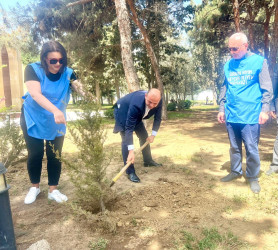 “Yaşıl dünya naminə həmrəylik ili” elan edilməsi ilə əlaqədar təsdiq olunmuş Tədbirlər Planına uyğun olaraq Suraxanı rayon Heydər Əliyev parkında ağac və gül kolları əkilib