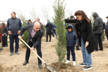 Azərbaycan Respublikasının Prezidenti cənab İlham Əliyevin müvafiq sərəncamına əsasən 2024-cü ilin “Yaşıl dünya naminə həmrəylik ili” elan edilməsi ilə əlaqədar, eləcə də COP29 çərçivəsində ölkəmizin hər bir yerində olduğu kimi Suraxanı rayonunda da silsilə tədbirlər keçirilir.