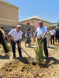 “Yaşıl dünya naminə həmrəylik ili” çərçivəsində Suraxanı rayonunda növbəti ağacəkmə aksiyası keçirilib