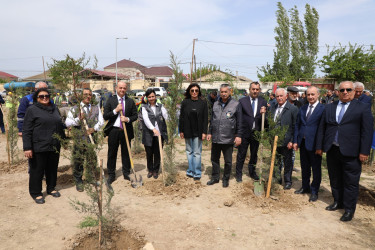 Suraxanıda Ulu Öndər Heydər Əliyevin əziz xatirəsinə ağacəkmə aksiyası təşkil olunub
