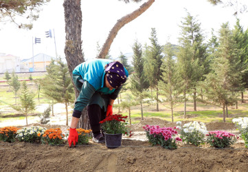 Suraxanı rayonunda aparılan yenidənqurma və abadlıq işləri çərçivəsində həyata keçirilən tədbirlər davam etdirilir