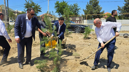 “Yaşıl dünya naminə həmrəylik ili” çərçivəsində Suraxanı rayonunda növbəti ağacəkmə aksiyası keçirilib