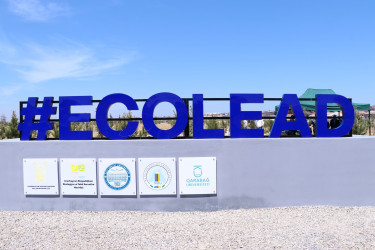 Suraxanı rayonunda “ECOLEAD” layihəsi çərçivəsində ağacəkmə aksiyası keçirilib