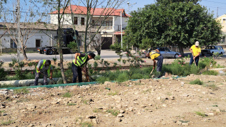 Həftəsonu paytaxtda aparılan növbəti genişmiqyaslı daxili  ümumşəhər iməciliyi çərçivəsində Suraxanı rayonunda da ümumrayon iməciliyi keçirilib