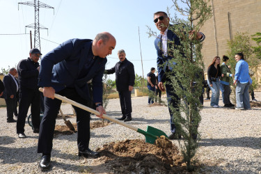 “Konstitusiya və Suverenlik İli” çərçivəsində Suraxanı rayonunda Rayon İcra Hakimiyyətinin təşkilatçılığı ilə növbəti ağacəkmə aksiyası keçirildi