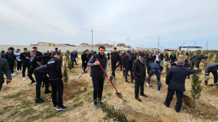 Aprelin 10-da “Heydər Əliyev İli” çərçivəsində Suraxanı Rayon İcra Hakimiyyətinin təşkilatçılığı ilə Qarabağ Futbol Klubu ilə birgə Zığ qəsəbəsi, Dədə Qorqud yaşayış sahəsində Ulu Öndər Heydər Əliyevin anadan olmasının 100 illiyinə həsr olunmuş ağacəkmə aksiyası keçirilib