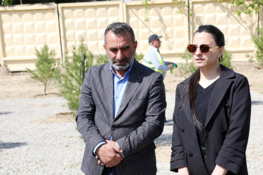 “Konstitusiya və Suverenlik İli” çərçivəsində Suraxanı rayonunda Rayon İcra Hakimiyyətinin təşkilatçılığı ilə növbəti ağacəkmə aksiyası keçirildi