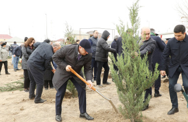 Azərbaycan Respublikasının Prezidenti cənab İlham Əliyevin müvafiq sərəncamına əsasən 2024-cü ilin “Yaşıl dünya naminə həmrəylik ili” elan edilməsi ilə əlaqədar, eləcə də COP29 çərçivəsində ölkəmizin hər bir yerində olduğu kimi Suraxanı rayonunda da silsilə tədbirlər keçirilir.