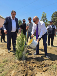 “Yaşıl dünya naminə həmrəylik ili” çərçivəsində Suraxanı rayonunda növbəti ağacəkmə aksiyası keçirilib