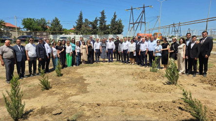 “Yaşıl dünya naminə həmrəylik ili” çərçivəsində Suraxanı rayonunda növbəti ağacəkmə aksiyası keçirilib