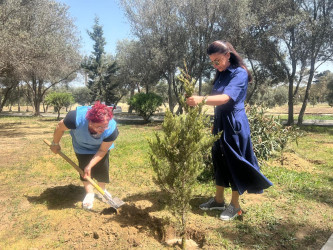 “Yaşıl dünya naminə həmrəylik ili” elan edilməsi ilə əlaqədar təsdiq olunmuş Tədbirlər Planına uyğun olaraq Suraxanı rayon Heydər Əliyev parkında ağac və gül kolları əkilib