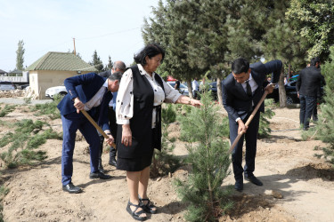 Anım günü ilə əlaqədar Suraxanı rayonunda ağacəkmə aksiyası keçirilib