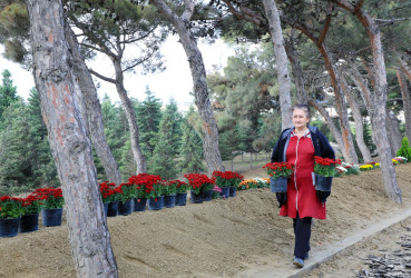 Suraxanı rayonunda aparılan yenidənqurma və abadlıq işləri çərçivəsində həyata keçirilən tədbirlər davam etdirilir