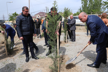 Suraxanıda Ulu Öndər Heydər Əliyevin əziz xatirəsinə ağacəkmə aksiyası təşkil olunub