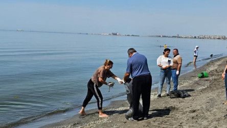 Hövsan qəsəbəsinin Xəzər dənizi sahilində ümumrespublika təmizlik aksiyası keçirilib