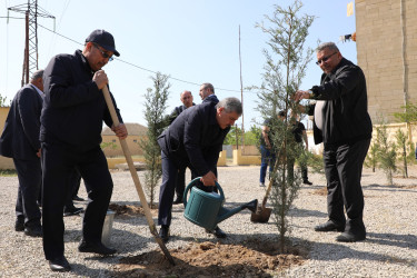 “Konstitusiya və Suverenlik İli” çərçivəsində Suraxanı rayonunda Rayon İcra Hakimiyyətinin təşkilatçılığı ilə növbəti ağacəkmə aksiyası keçirildi