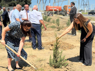 “Yaşıl dünya naminə həmrəylik ili” çərçivəsində Suraxanı rayonunda növbəti ağacəkmə aksiyası keçirilib