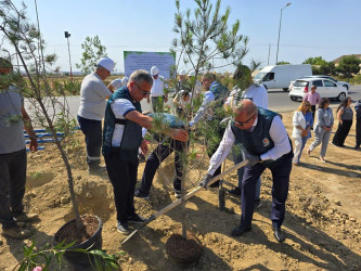 İyunun 25-də "26 İyun - Silahlı Qüvvələr günü"  münasibətilə "Yaşıl Dünya Naminə Həmrəylik ili" çərçivəsində Suraxanı Rayon İcra Hakimiyyətinin və Suraxanı Oyl şirkətinin birgə təşkilatçılığı ilə Əmircan - Yeni Suraxanı yolunda ağacəkmə aksiyası keçirilib.