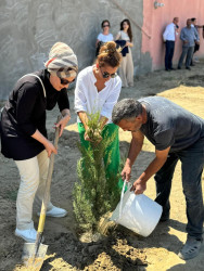 “Yaşıl dünya naminə həmrəylik ili” çərçivəsində Suraxanı rayonunda növbəti ağacəkmə aksiyası keçirilib