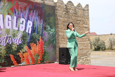 Suraxanıda Ulu öndər Heydər Əliyevin xatirəsinə həsr olunmuş “Rənglər festivalı” təşkil edilib