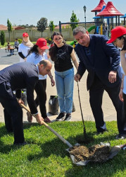 Növbəti ağacəkmə aksiyası Heydər Əliyev adına Hava Limanına gedən yolun Bülbülə qəsəbəsindən keçən hissəsindəki Suraxanı parkında baş tutub