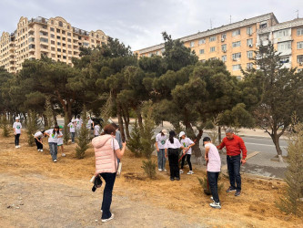 2024-cü ilin “Yaşıl dünya naminə həmrəylik ili” elan edilməsi ilə bağlı  Suraxanı  rayonunda ağacəkmə  aksiyaları davamlı olaraq həyata keçirilir