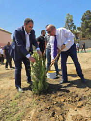 “Yaşıl dünya naminə həmrəylik ili” çərçivəsində Suraxanı rayonunda növbəti ağacəkmə aksiyası keçirilib