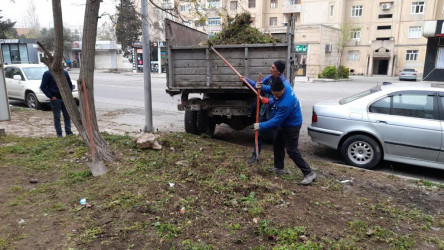 Yazın gəlişi ilə Suraxanı rayonunun bütün qəsəbələrində Rayon Mənzil-Kommunal Təsərrüfatı Birliyi tərəfindən davamlı şəkildə aparılan abadlıq, təmizlik, yaşıllıq sahələrinin suvarılması, təmir və bərpa işləri həyata keçirilməkdədir. Rayon ərazisindəki parklarda, məhəllələr arası istirahət sahələrində eləcə də magistral yolların kənarlarında təmizlik işləri aparılır, küçələrdə səki kənarları, bordyur və işıq dirəkləri, məhəccərlər yuyularaq müxtəlif məişət, polietilen və digər tullantılar ərazidə