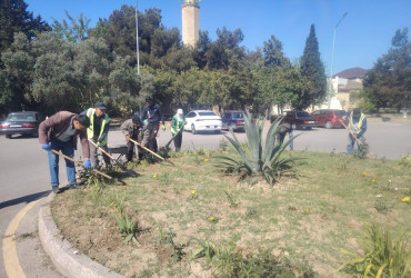 Mayın 9-da Bakı Şəhər İcra Hakimiyyətinin təşəbbüsü, Suraxanı Rayon İcra Hakimiyyətinin və Rayon Mənzil-Kommunal Təsərrüfatı Birliyinin birgə təşkilatçılığı ilə rayon ərazisində genişmiqyaslı ümumrayon iməciliyi keçirilib