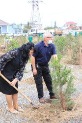 Suraxanıda 27 Sentyabr - Anım Gününə həsr olunmuş ağacəkmə aksiyası keçirilib