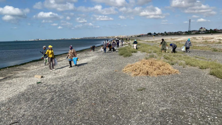 Xəzər dənizinin sahilində, Hövsan qəsəbəsi, “Antalya” çimərliyinin yaxınlığında təmizlik aksiyası keçirilmişdir