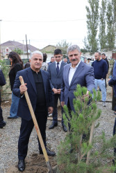 Suraxanıda 27 Sentyabr - Anım Gününə həsr olunmuş ağacəkmə aksiyası keçirilib