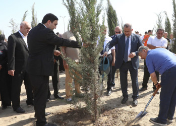 27 Sentyabr – Anım Günü ilə əlaqədar Suraxanı rayonunun Zığ qəsəbəsi, Bahar yaşayış sahəsində ağacəkmə aksiyası və “Qeyd-Sosial Maarifləndirmə” İctimai Birliyinin təşkilatçılığı ilə rəsm sərgisi keçirilib
