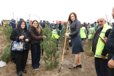 Noyabrın 4-də Suraxanı Rayon İcra Hakimiyyətinin təşkilatçılığı ilə “Konstitusiya və Suverenlik ili” çərçivəsində Zəfər Gününə həsr olunmuş ağacəkmə aksiyası keçirilib