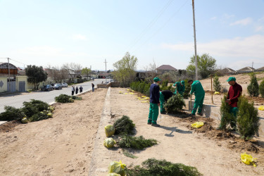 Suraxanı Rayon İcra Hakimiyyətinin başçısı Adil Əliyev Hövsan və Qaraçuxur qəsəbələrində aparılan genişmiqyaslı abadlıq-quruculuq işlərinin gedişatı ilə tanış olub