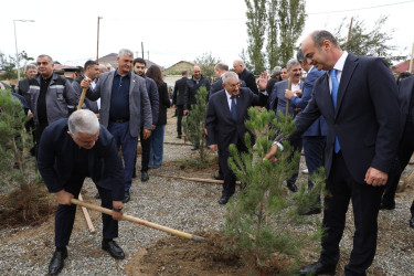 Suraxanıda 27 Sentyabr - Anım Gününə həsr olunmuş ağacəkmə aksiyası keçirilib