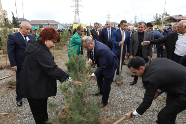 Suraxanıda 27 Sentyabr - Anım Gününə həsr olunmuş ağacəkmə aksiyası keçirilib